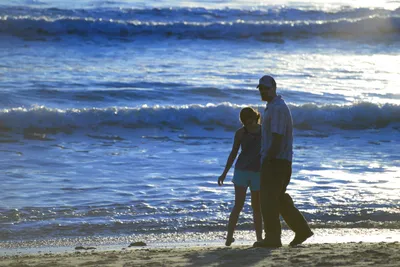 DSC_1232 (Large).JPG